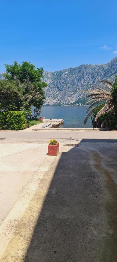 Apartman Katarina Kotor Bagian luar foto